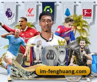凤凰体育 APP | fhsports
